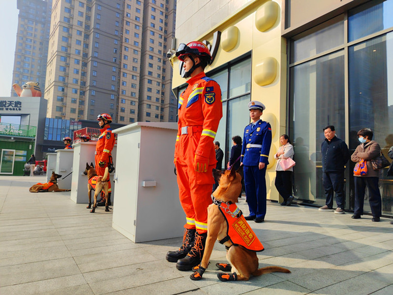 消防搜救犬展示区