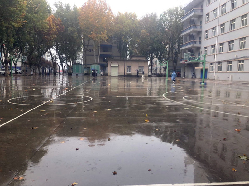 雨中坚守绽芳华！