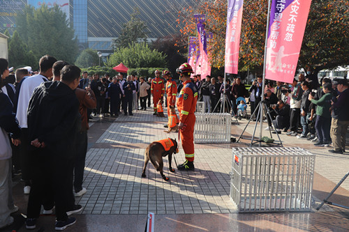 观看消防救援犬表演