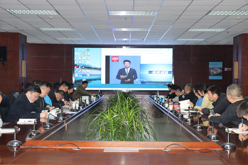 全体党员集中观看廉政警示教育视频《坚持风腐同查同治 破解作风痼疾》