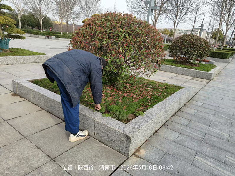 绿化养护师傅为校考进行环境治理