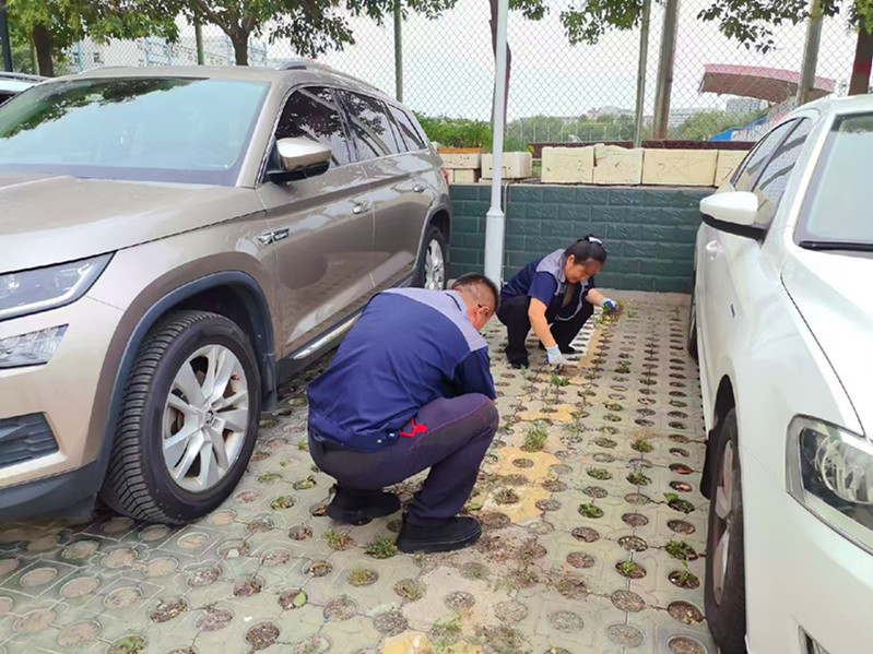 飞飞帮保洁员拔杂草