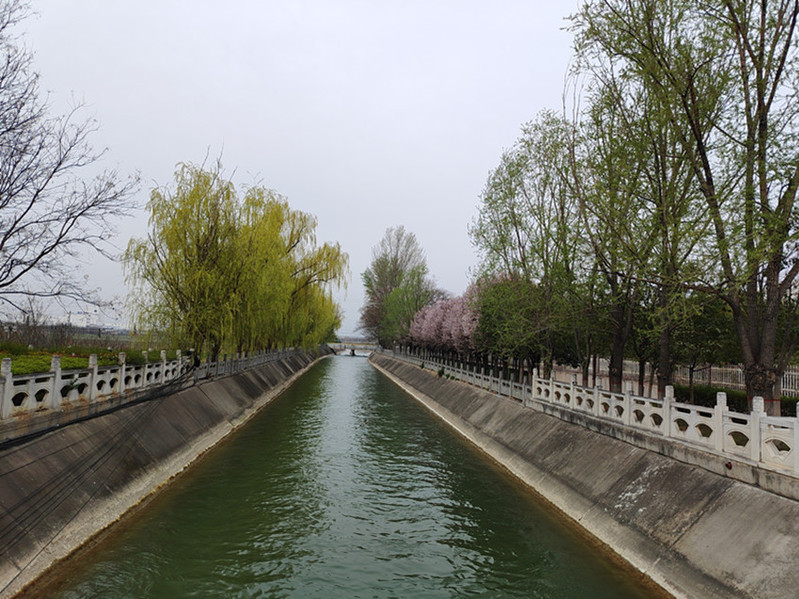 春到泾惠渠，一河碧水，两岸繁花。