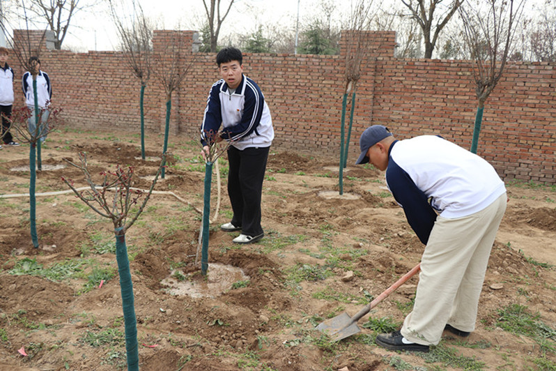 志愿者为树木二次浇水