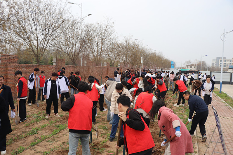 热火朝天的植树实践活动