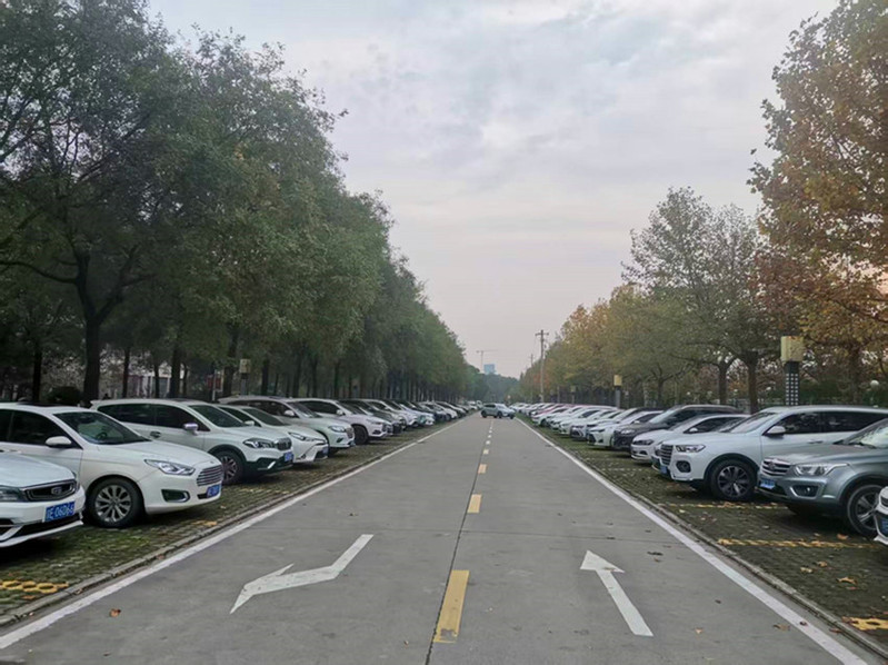 车辆有序停放